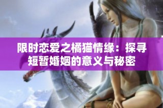 限时恋爱之橘猫情缘：探寻短暂婚姻的意义与秘密