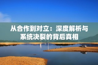 从合作到对立：深度解析与系统决裂的背后真相