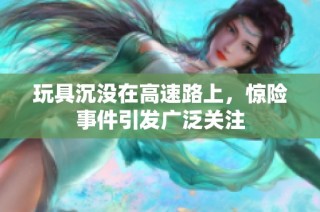 玩具沉没在高速路上，惊险事件引发广泛关注