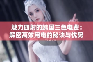 魅力四射的韩国三色电费：解密高效用电的秘诀与优势