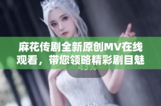 麻花传剧全新原创MV在线观看，带您领略精彩剧目魅力