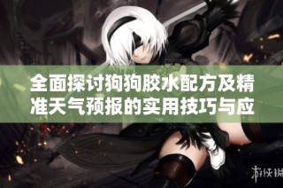 全面探讨狗狗胶水配方及精准天气预报的实用技巧与应用