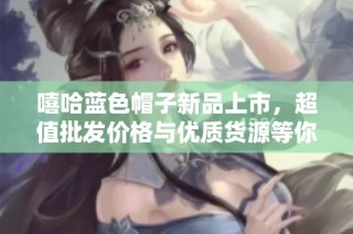 嘻哈蓝色帽子新品上市，超值批发价格与优质货源等你来选购