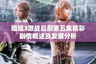 姐姐3激战后厨第五集精彩剧情概述及发展分析