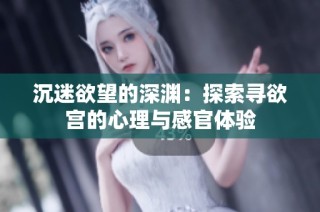 沉迷欲望的深渊：探索寻欲宫的心理与感官体验