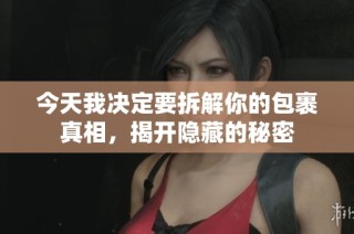 今天我决定要拆解你的包裹真相，揭开隐藏的秘密