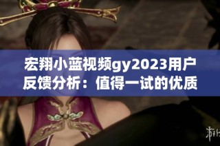 宏翔小蓝视频gy2023用户反馈分析：值得一试的优质选择