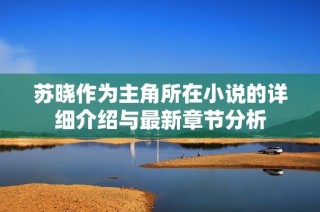 苏晓作为主角所在小说的详细介绍与最新章节分析