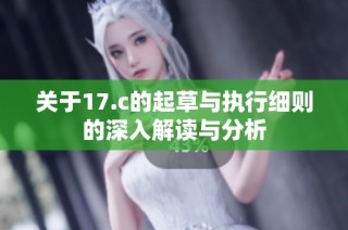 关于17.c的起草与执行细则的深入解读与分析