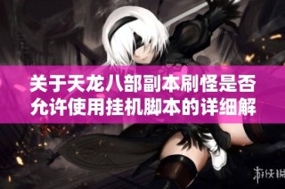 关于天龙八部副本刷怪是否允许使用挂机脚本的详细解析与讨论