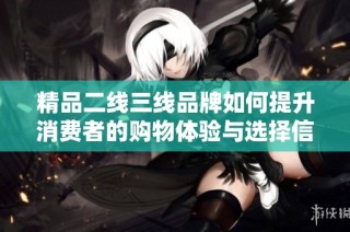 精品二线三线品牌如何提升消费者的购物体验与选择信心