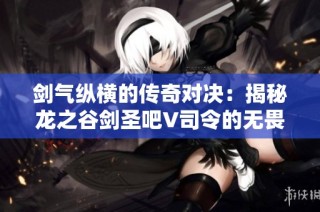 剑气纵横的传奇对决：揭秘龙之谷剑圣吧V司令的无畏PK历程与辉煌荣耀