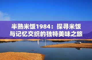 半熟米饭1984：探寻米饭与记忆交织的独特美味之旅