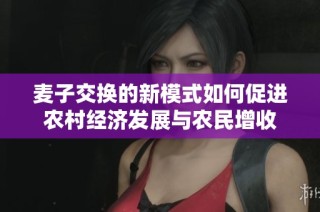 麦子交换的新模式如何促进农村经济发展与农民增收