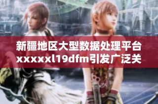 新疆地区大型数据处理平台xxxxxl19dfm引发广泛关注