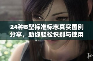 24种B型标准标志真实图例分享，助你轻松识别与使用