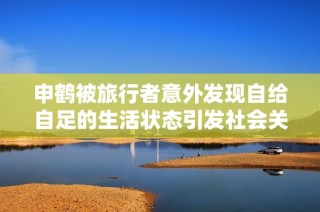 申鹤被旅行者意外发现自给自足的生活状态引发社会关注与讨论