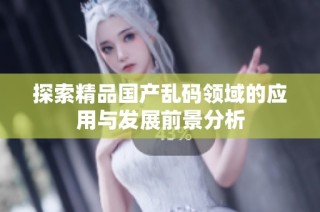 探索精品国产乱码领域的应用与发展前景分析
