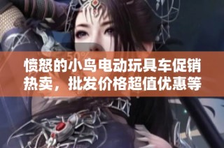 愤怒的小鸟电动玩具车促销热卖，批发价格超值优惠等你来抢！