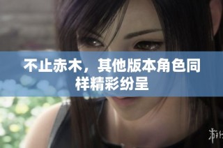 不止赤木，其他版本角色同样精彩纷呈