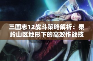 三国志12战斗策略解析：秦岭山区地形下的高效作战技巧分享