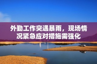 外勤工作突遇暴雨，现场情况紧急应对措施需强化