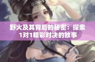 野火及其背后的秘密：探索1对1精彩对决的故事