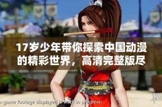 17岁少年带你探索中国动漫的精彩世界，高清完整版尽在眼前
