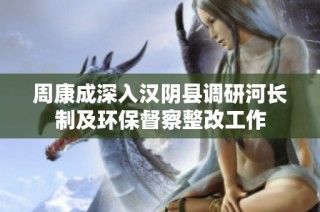 周康成深入汉阴县调研河长制及环保督察整改工作