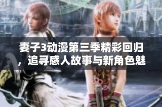 妻子3动漫第三季精彩回归，追寻感人故事与新角色魅力