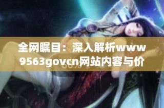 全网瞩目：深入解析www9563govcn网站内容与价值