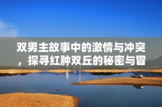 双男主故事中的激情与冲突，探寻红肿双丘的秘密与冒险