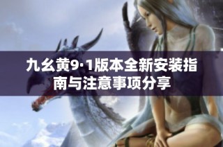 九幺黄9·1版本全新安装指南与注意事项分享