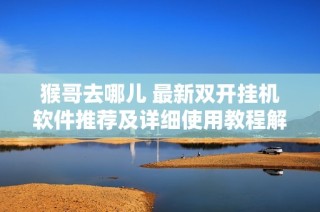 猴哥去哪儿 最新双开挂机软件推荐及详细使用教程解析