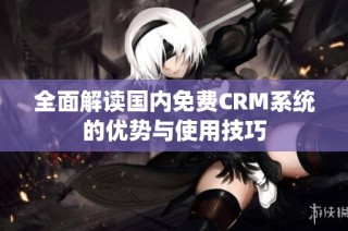 全面解读国内免费CRM系统的优势与使用技巧
