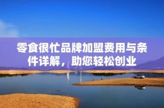 零食很忙品牌加盟费用与条件详解，助您轻松创业