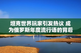 坦克世界玩家引发热议 成为俄罗斯年度流行语的背后揭秘