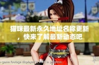 猫咪最新永久地址名称更新，快来了解最新动态吧