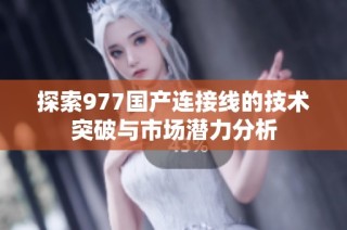 探索977国产连接线的技术突破与市场潜力分析