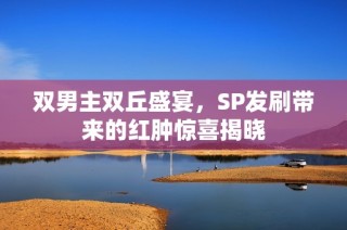 双男主双丘盛宴，SP发刷带来的红肿惊喜揭晓