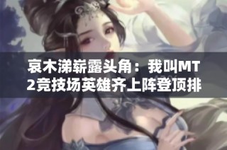 哀木涕崭露头角：我叫MT2竞技场英雄齐上阵登顶排行榜