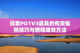 探索PO1V3道具的有效催熟技巧与燃烧增效方法