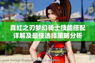 真红之刃梦幻骑士技能搭配详解及最佳选择策略分析