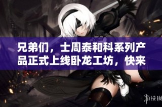 兄弟们，士周泰和科系列产品正式上线卧龙工坊，快来体验！