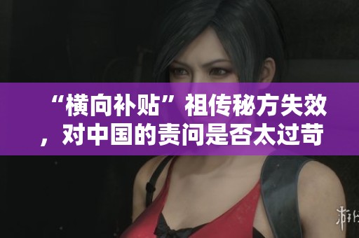 “横向补贴”祖传秘方失效，对中国的责问是否太过苛刻