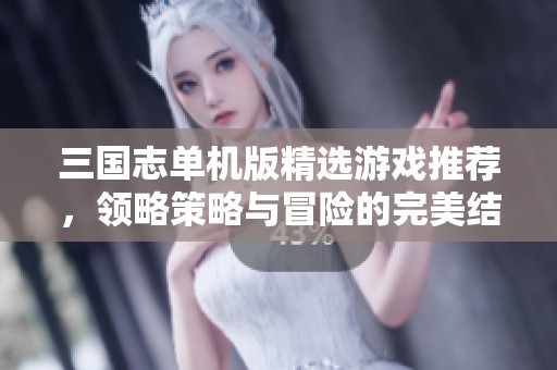三国志单机版精选游戏推荐，领略策略与冒险的完美结合