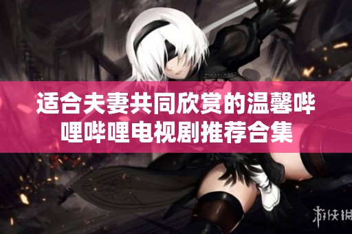 适合夫妻共同欣赏的温馨哔哩哔哩电视剧推荐合集