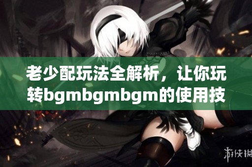 老少配玩法全解析，让你玩转bgmbgmbgm的使用技巧