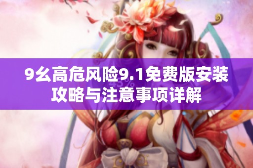 9幺高危风险9.1免费版安装攻略与注意事项详解