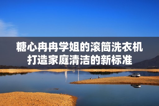 糖心冉冉学姐的滚筒洗衣机打造家庭清洁的新标准